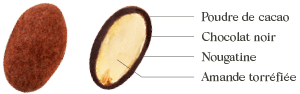 Amandes Cacao