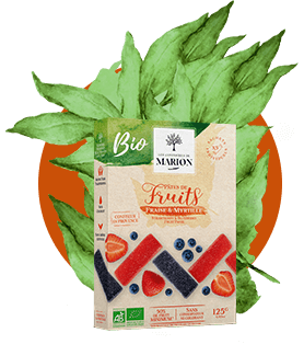 Pâtes de fruits Fraise et Myrtille BIO